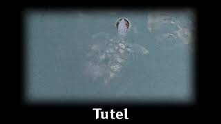 tutel [upl. by Ahgiela]