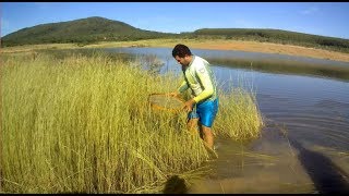 PESCARIA DE PENEIRA NA BARRAGEM DE TRÊS MARIAS [upl. by Gney972]