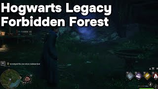 Hogwarts Legacy Forbidden Forest [upl. by Yemar]