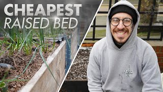 Cheapest way to make and fill up a Raised Bed  Hugelkultur [upl. by Cypro]