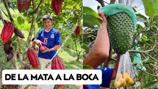 Prefiere la VIDA DE FINCA porque la tierra le da TODO 🍊🍋 Josué y Elie [upl. by Winna]