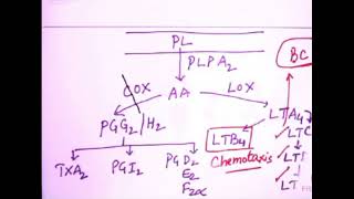 MOA Of Aspirin NSAID Why Use As Antiplatelets Drugs  MBBS pharmcology [upl. by Oiril]