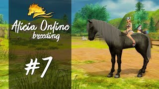 Alicia Online Breeding 7 karoszek pytanie  wyścig z widzami [upl. by Dearborn]