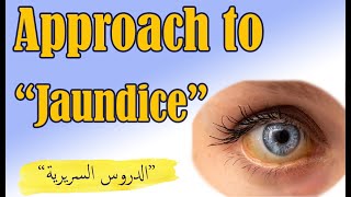 Approach to jaundice  الدروس السريرية الهضمية quot4quot  مقاربة مريض اليرقان  Clinical rotations quot4quot [upl. by Alyss]