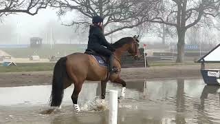 Eric Hickstead XC schooling [upl. by Ariec283]