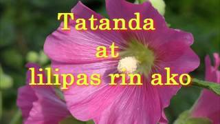 Handog by Florante With Lyrics [upl. by Enair]