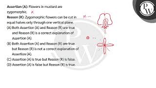 Assertion A Flowers in mustard are zygomorphicReason R Zygomorphic flowers can be cut in [upl. by Enilhtak]