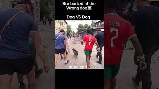 Bro barked at the wrong dog☠️ishowspeed speed livestream dog pitbull dangerous trollface [upl. by Dorrie]