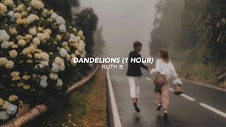 ruth b  dandelions 1 hour tiktok version I’m in a field of dandelions [upl. by Asiluj]