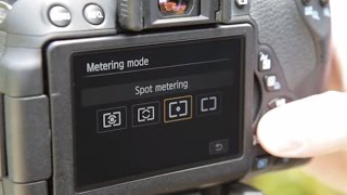 Understanding Metering Modes  How to Use Your Camera Part 5 [upl. by Olaznog472]