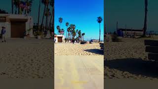 Venice Beach Vibes Exploring Californias Iconic Shoreline [upl. by Racklin]