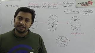 Amitosis Cell Division  অ্যামাইটোসিস কোষ বিভাজন ।। HSC Botany Chapter 3 [upl. by Amadus808]