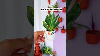 Hack Gone Wrong 😱 diy craft plants art [upl. by Lellih]