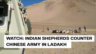 India Shepherds in Ladakh Confront Chinese PLA Troops Over Grazing Rights Force Them to Retreat [upl. by Archangel]