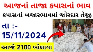 Kapas Na Bhav । 12112024 । કપાસ ના ભાવ  Information about cotton crop price  કપાસ નો ભાવ [upl. by Airdnaxela172]