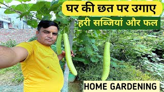 Home gardening  Home garden plan  fresh fruit and vegetables  2024 [upl. by Concoff]