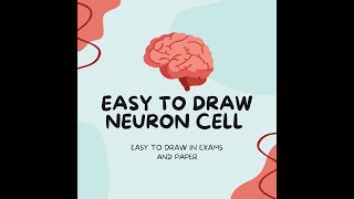 Easy draw Neuron cell [upl. by Rebba]