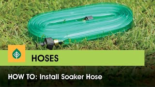 How to install a Soaker Hose [upl. by Harlie699]