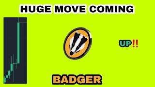 BADGER COIN HUGE MOVE COMING IN 2024‼️ BADGER DAO PRICE IS GOING UP‼️ BADGER CRYPTO GAINING TRACTION [upl. by Artkele956]