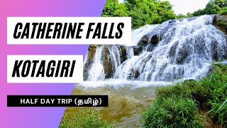 Catherine falls Kotagiri  Half day Trip  Complete details [upl. by Sang313]