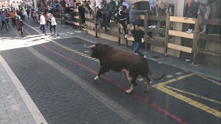 Encierro y capea Moralzarzal 240922 4 últimos toros [upl. by Vahe722]