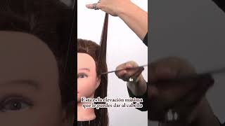 ✂️ Técnicas de corte de cabello en ángulo 180 grados para diseño escalonado  Curso peluquería [upl. by Rehpetsirhc362]