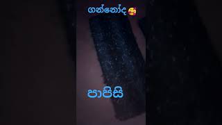 පාපිසි ඕඩර්ස් බාර ගනු ලැබේ🤭🥰shorts papisi rugs [upl. by Eveam]