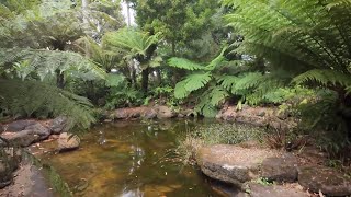 Amazing Plant Collections at this Australian Botanic Garden [upl. by Ondine739]