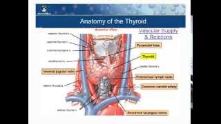 Thyroid Imaging and Therapy in Thyroid Cancer Patient Webinar [upl. by Wandy]