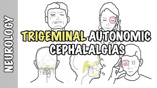 Severe headaches  Understanding Trigeminal Autonomic Cephalgias  types pathophysiology treatment [upl. by Ydospahr]