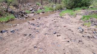 GOLD PROSPECTING AT LYNX CREEK PRESCOTT AZ [upl. by Noremak]