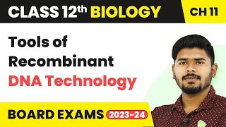 Tools of Recombinant DNA Technology Biotechnology Principles amp Processes  Class 12 Biology 202223 [upl. by Telfer]