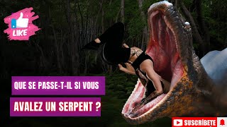 Que se passe t il si vous avalez un serpent  anaconda  serpent venimeux [upl. by Esther326]