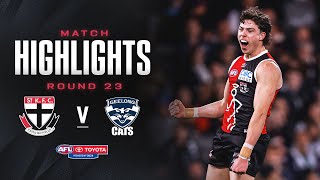 St Kilda v Geelong Highlights  Round 23 2024  AFL [upl. by Nwhas98]