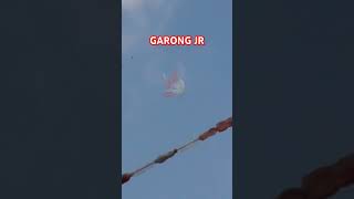 Garong jr [upl. by Adnilreb]