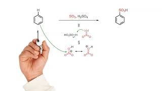 Sulfonation of benzene [upl. by Odnomor]