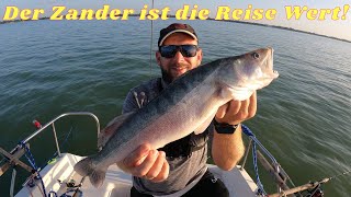 Fischen auf Zander und Wels am Plattensee Ungarn Eine entspannte Session am Wasser [upl. by Tips896]