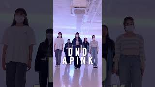 Apink 에이핑크 DND 댄스커버 직장인댄스 스튜디오알비지 [upl. by Lalitta]