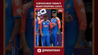 Watch Suryakumar Yadavs Heartstopping Catch That Sealed T20 World Cup 2024 Win  India Today [upl. by Edroi]