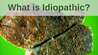 What is Idiopathic  Pathology mini tutorial [upl. by Chaffee739]