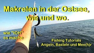 Makrelen in der Ostsee wie und wo vom Boot [upl. by Adaminah]