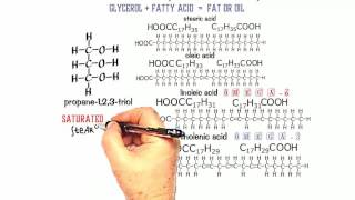 Esters 3 Structure of Fats and Oils [upl. by Eniawtna]