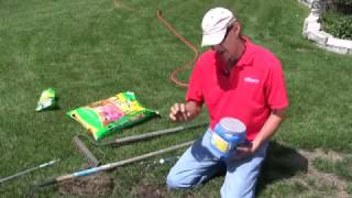 How to Plant Grass to Fix a Bare Spot [upl. by Zena]