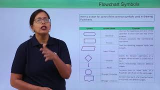 Software Flowchart [upl. by Eimma]