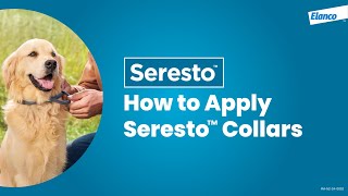 How to Apply Seresto™ to Your Dog [upl. by Sawtelle]