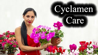 Cyclamen Plant Care  Indoor Growing Conditions  Tips [upl. by Newnorb474]