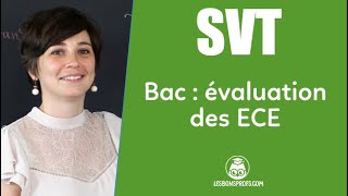 Bac de SVT  les ECE  SVT  Terminale  Les Bons Profs [upl. by Sauder]