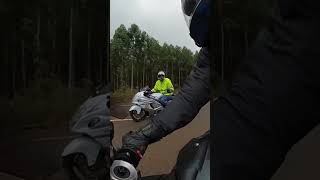 BMW S1000RR wheelie control makes you look like a pro [upl. by Navad]