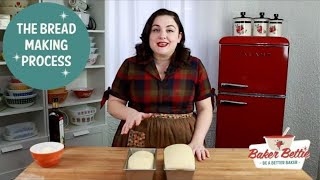 Understanding Bread Making StepByStep  kneading proofing bulk fermentation shaping [upl. by Annaehr]