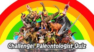 EN Challenge Paleontologist Quiz dinosaurs names for children collecta figuresㅣCoCosToy [upl. by Ailido]